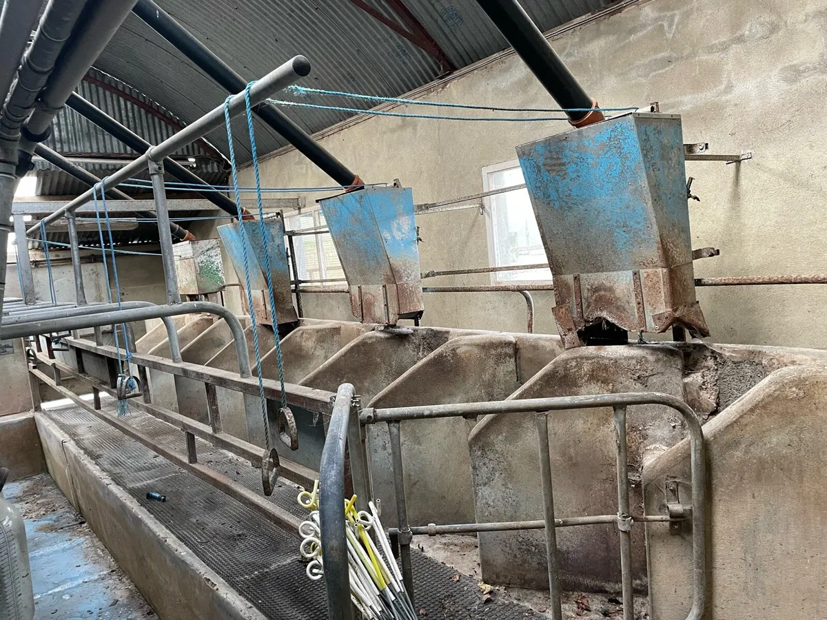 8 unit Milking parlour - Image 2