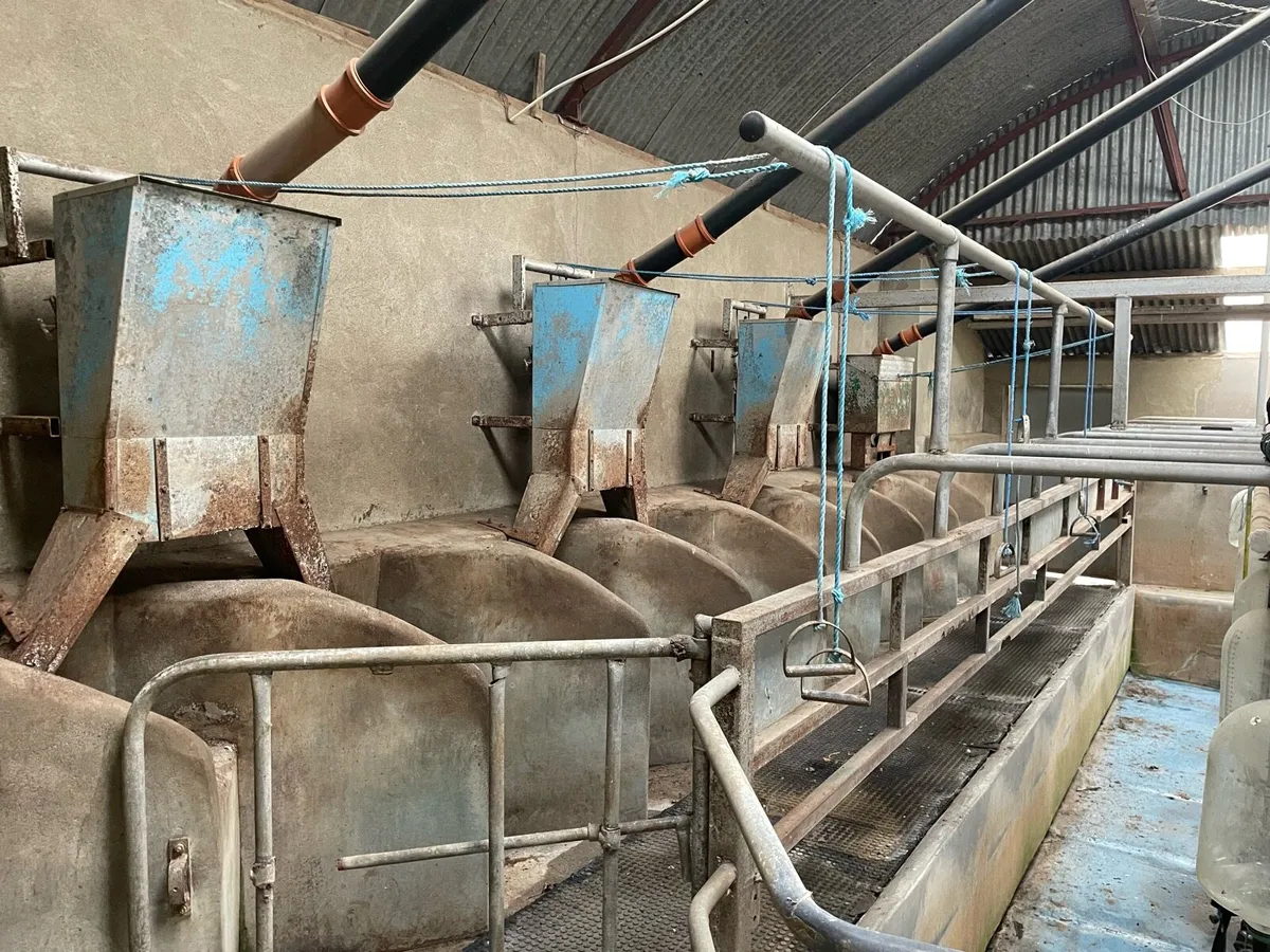 8 unit Milking parlour - Image 4
