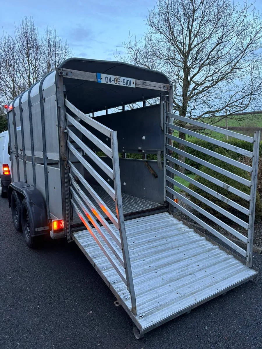 Ifor Williams 10x5"3 cattle box - Image 2