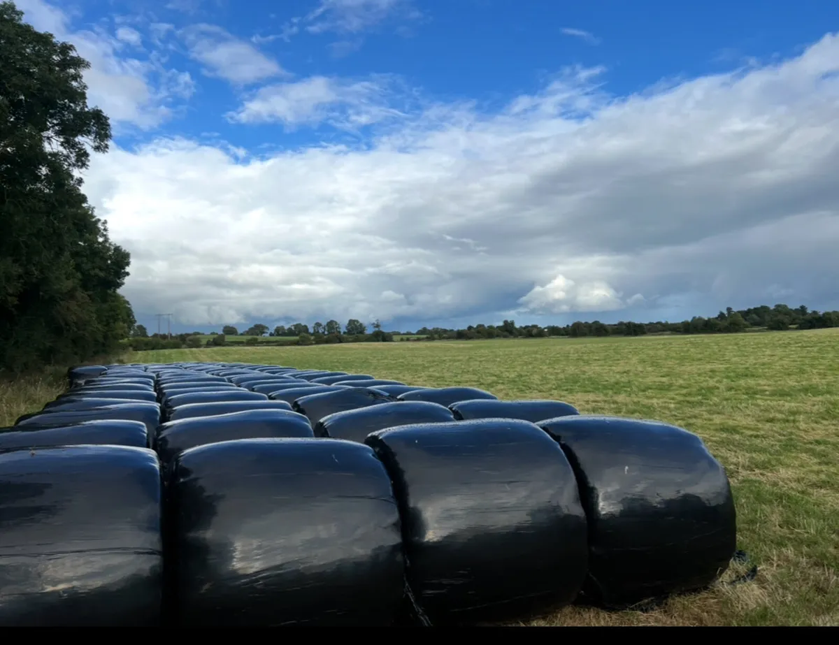 Hay & Haylage for sale - Image 4