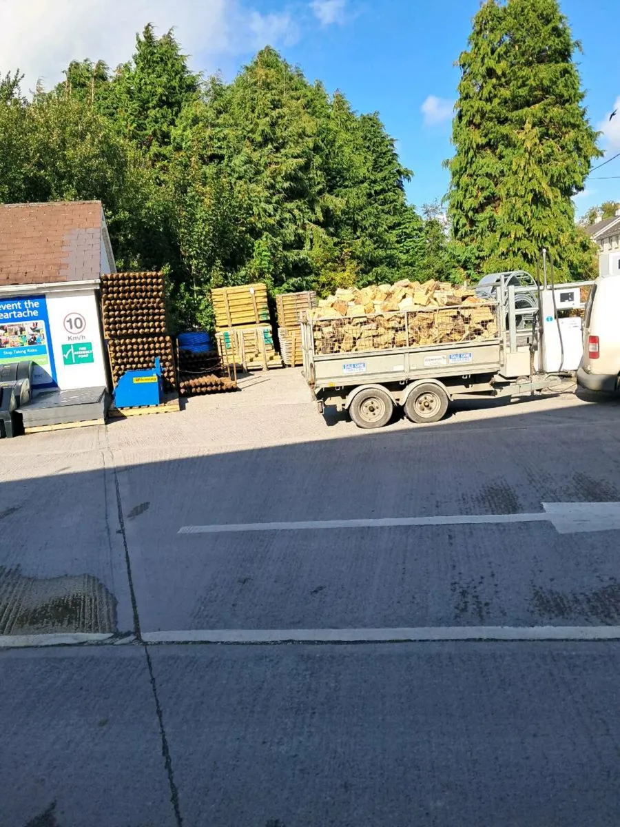 Firewood for sale covering all cork - Image 4