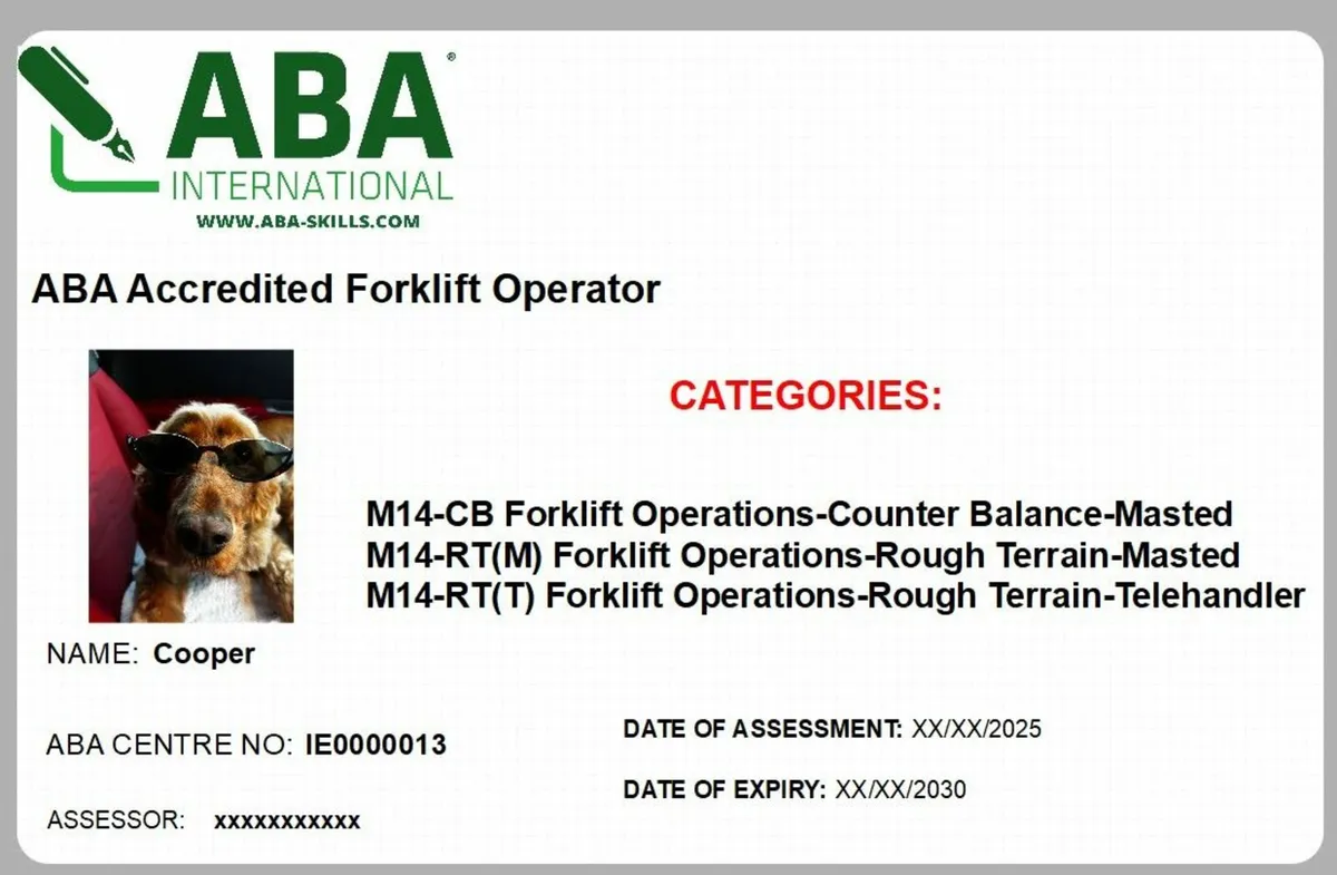 Forklift Training - Image 2