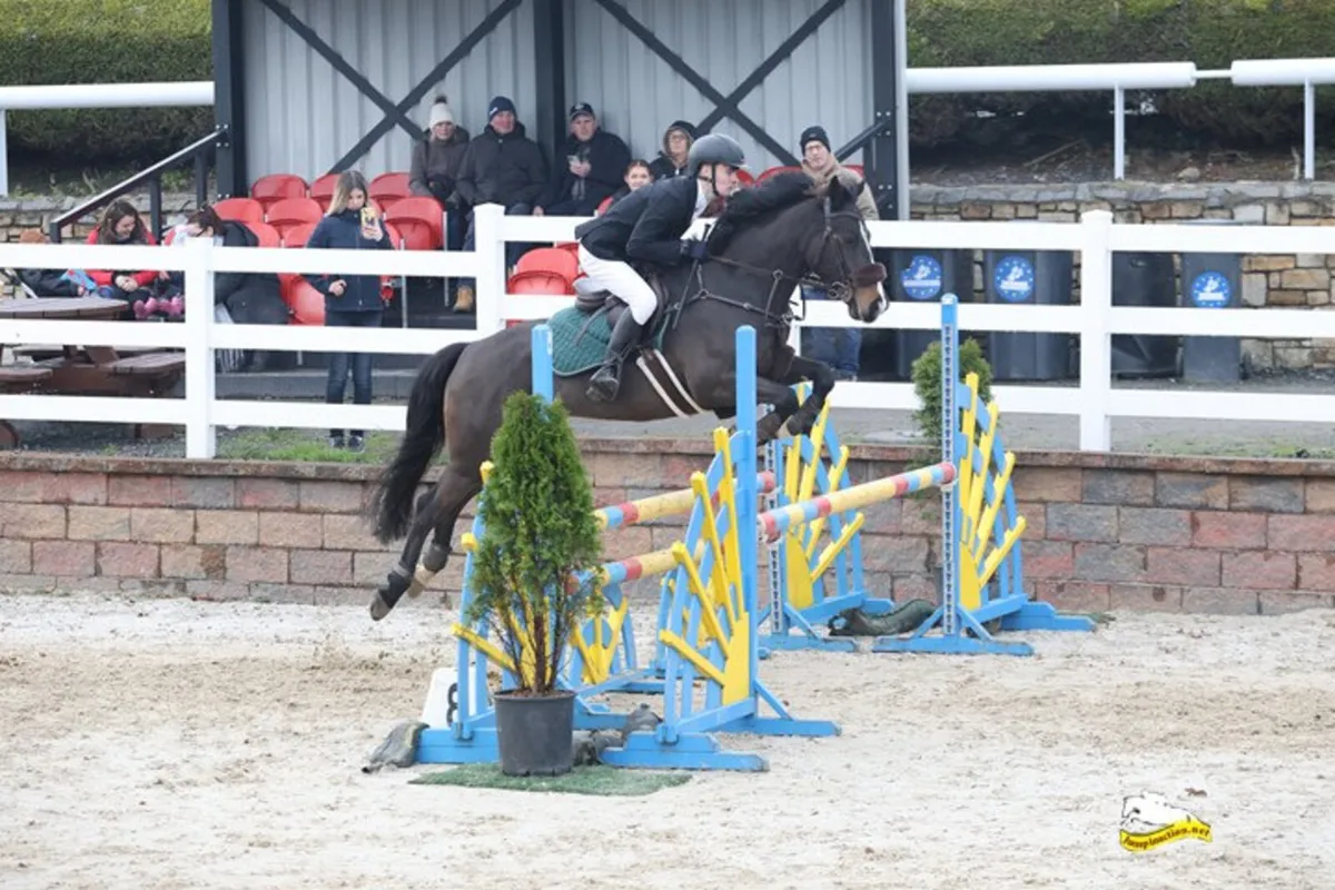 148 Showjumping Pony - Image 2
