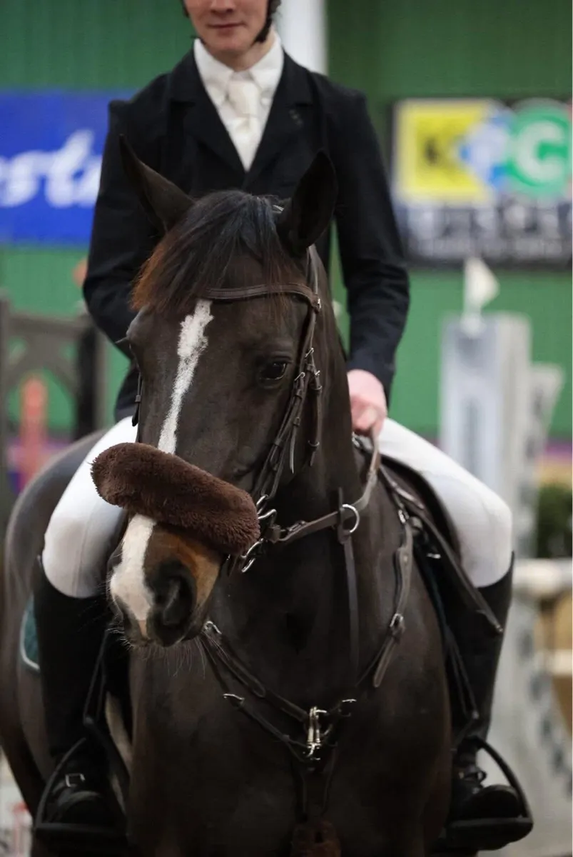 148 Showjumping Pony - Image 3