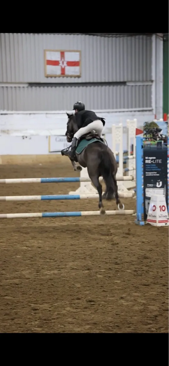 148 Showjumping Pony - Image 4