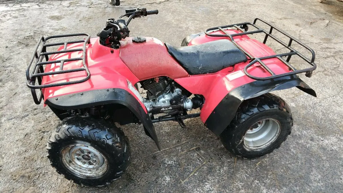Honda TRX 300 4x4 - Image 1