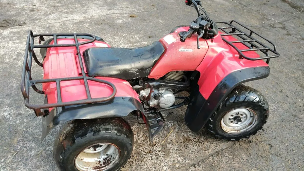 Honda TRX 300 4x4 - Image 2