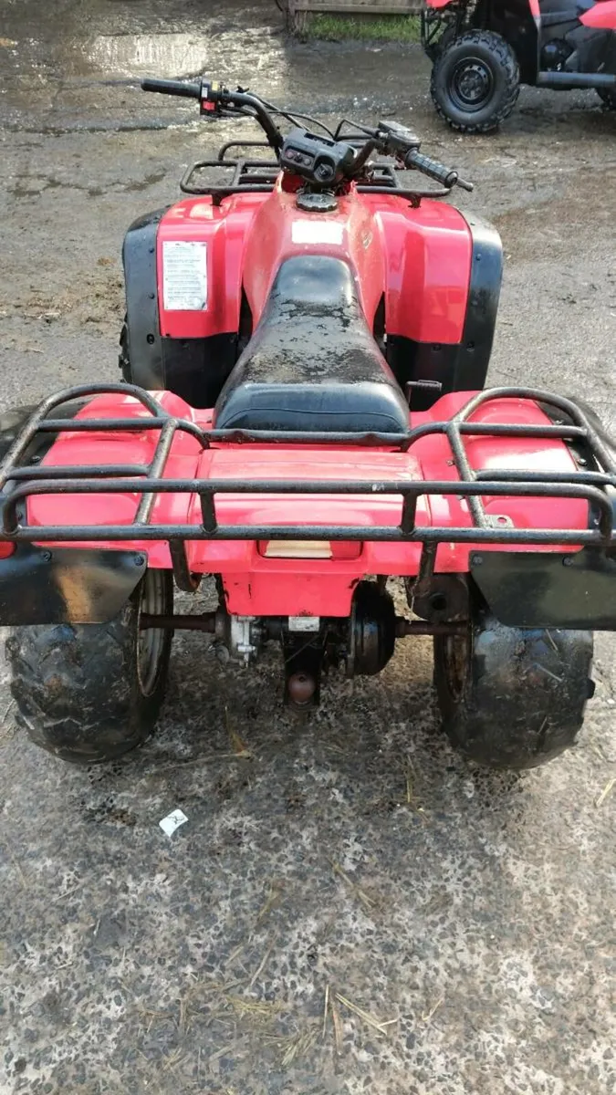 Honda TRX 300 4x4 - Image 3