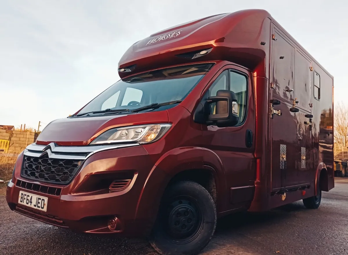 2 box Horse truck 3.5t Citroen Relay 2014 - Image 1