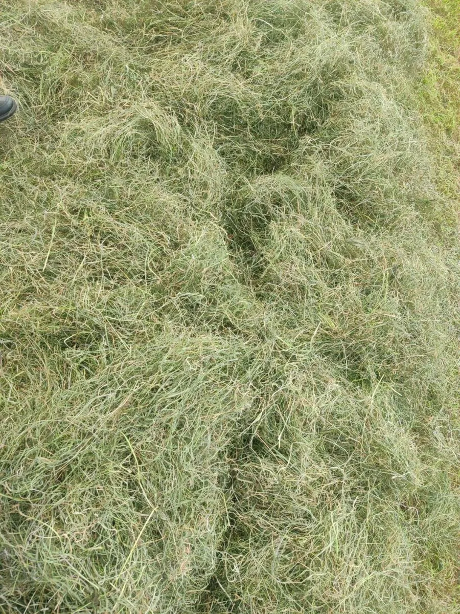 Hay and Haylage - Image 3