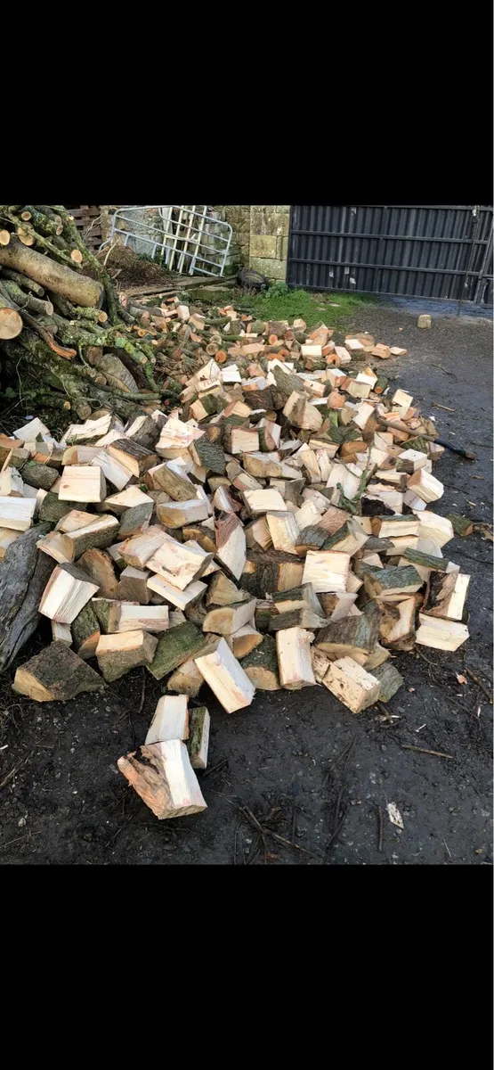 Firewood - Image 1