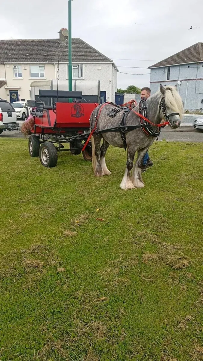 4 wheeler for sale €600 - Image 3