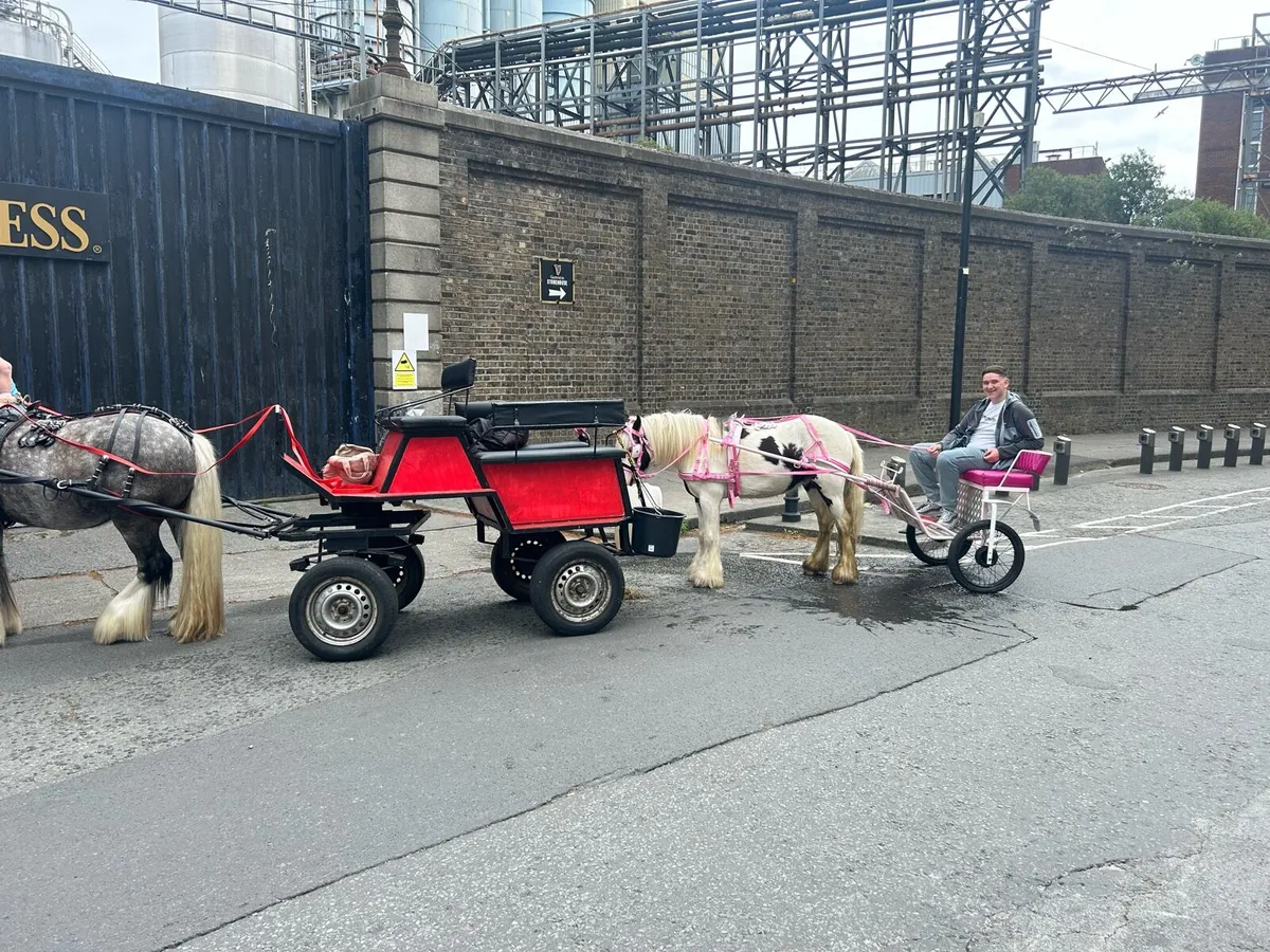 4 wheeler for sale €600 - Image 4