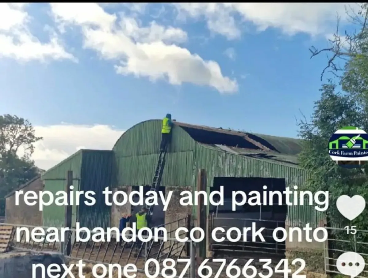 Munster Farm Shed Repairs & Painting - Image 1