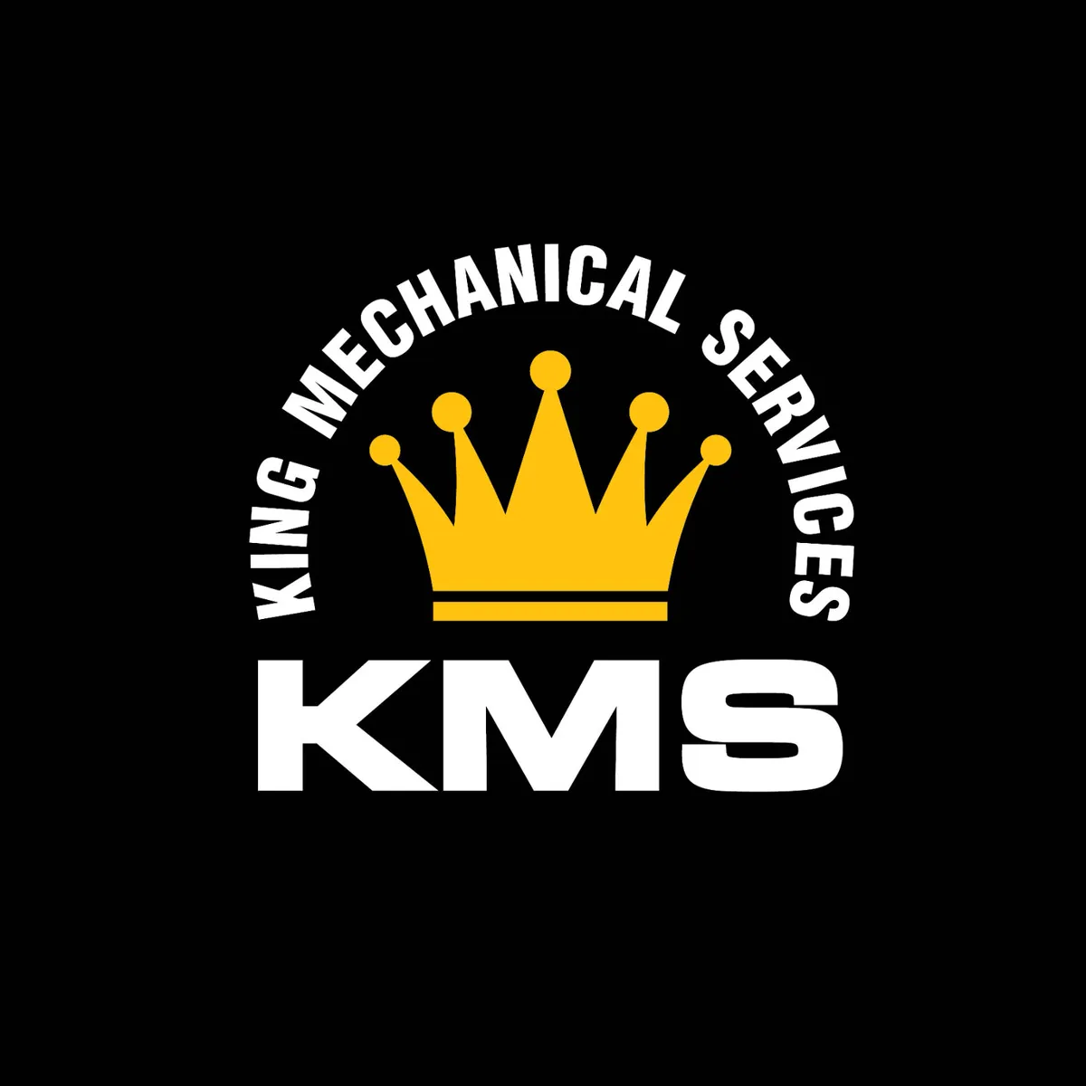 5T Ratchet Tie Down Straps - Box of 10 (10% off) - Image 3