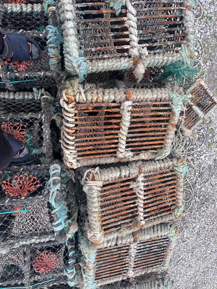 Lobster pots - Image 1