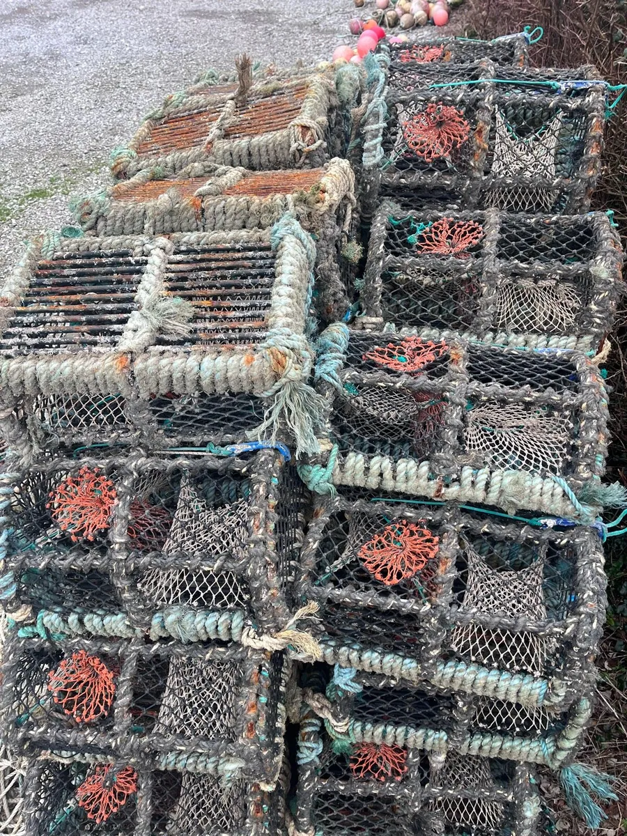 Lobster pots - Image 2