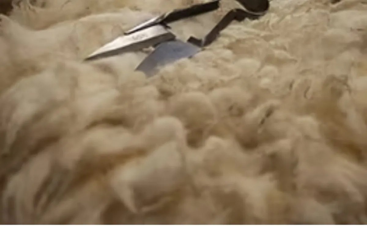 Wool(sheeps fleeces) - Image 1