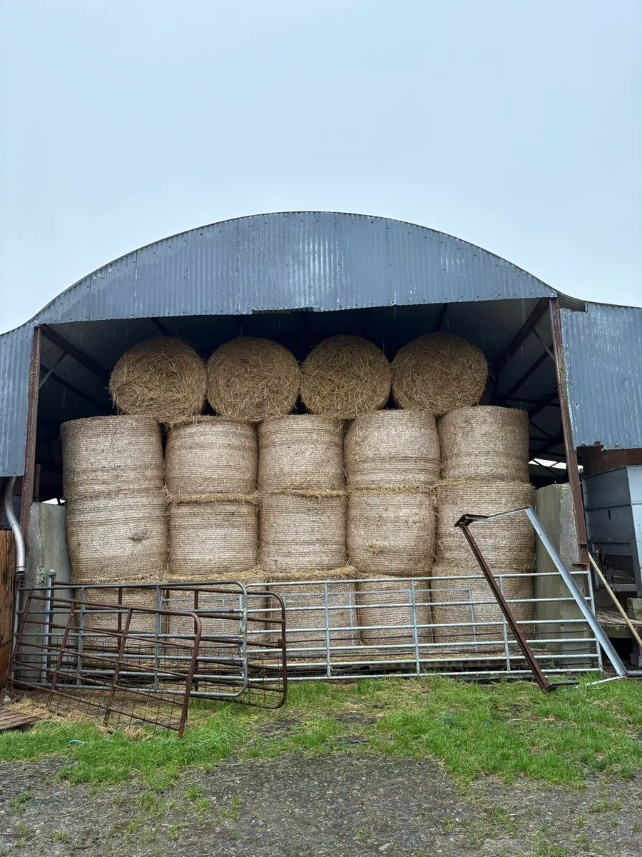 Hay for sale