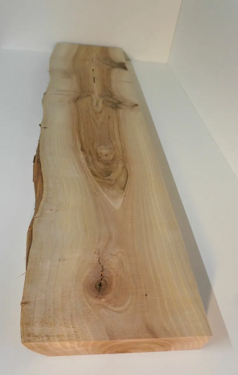 Live Edge Shelves Shelf Blanks Walnut - Image 4