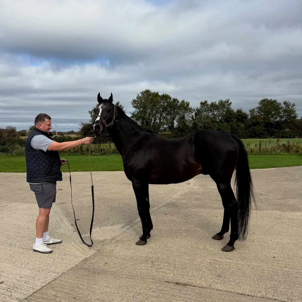 Racinger (FR) AT STUD - Image 4