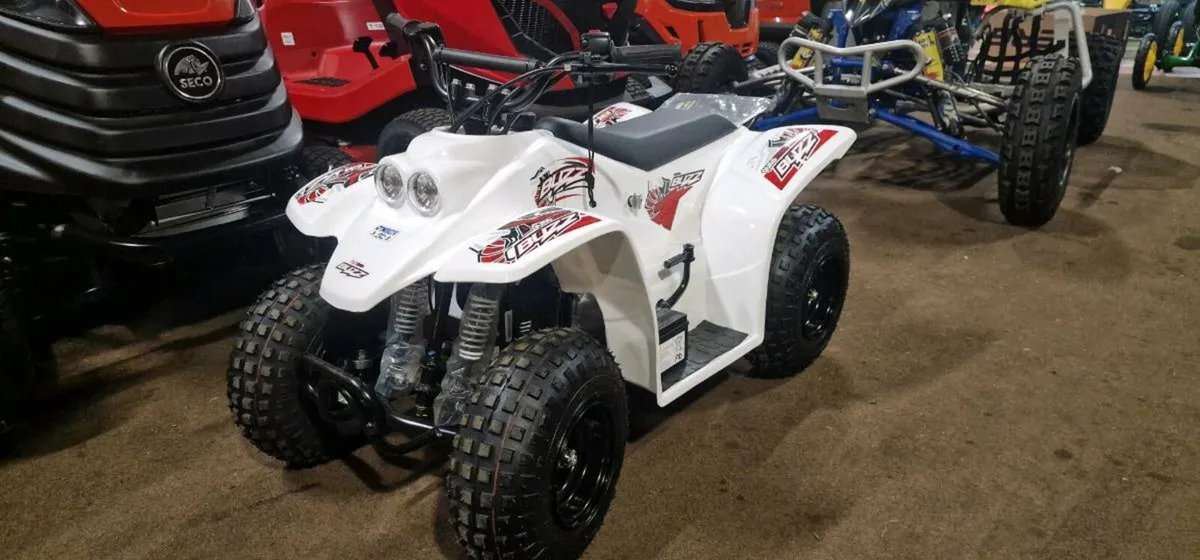 Quadzilla Buzz 50 kids quad - Image 2