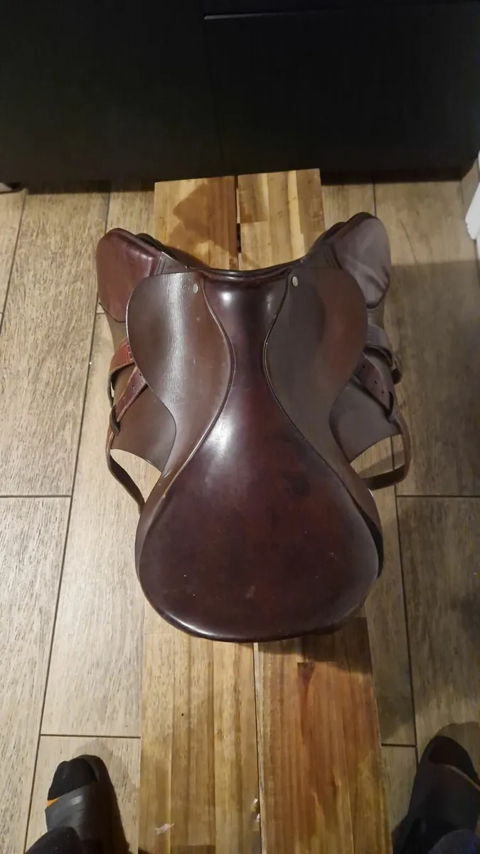 Saddle - Image 4