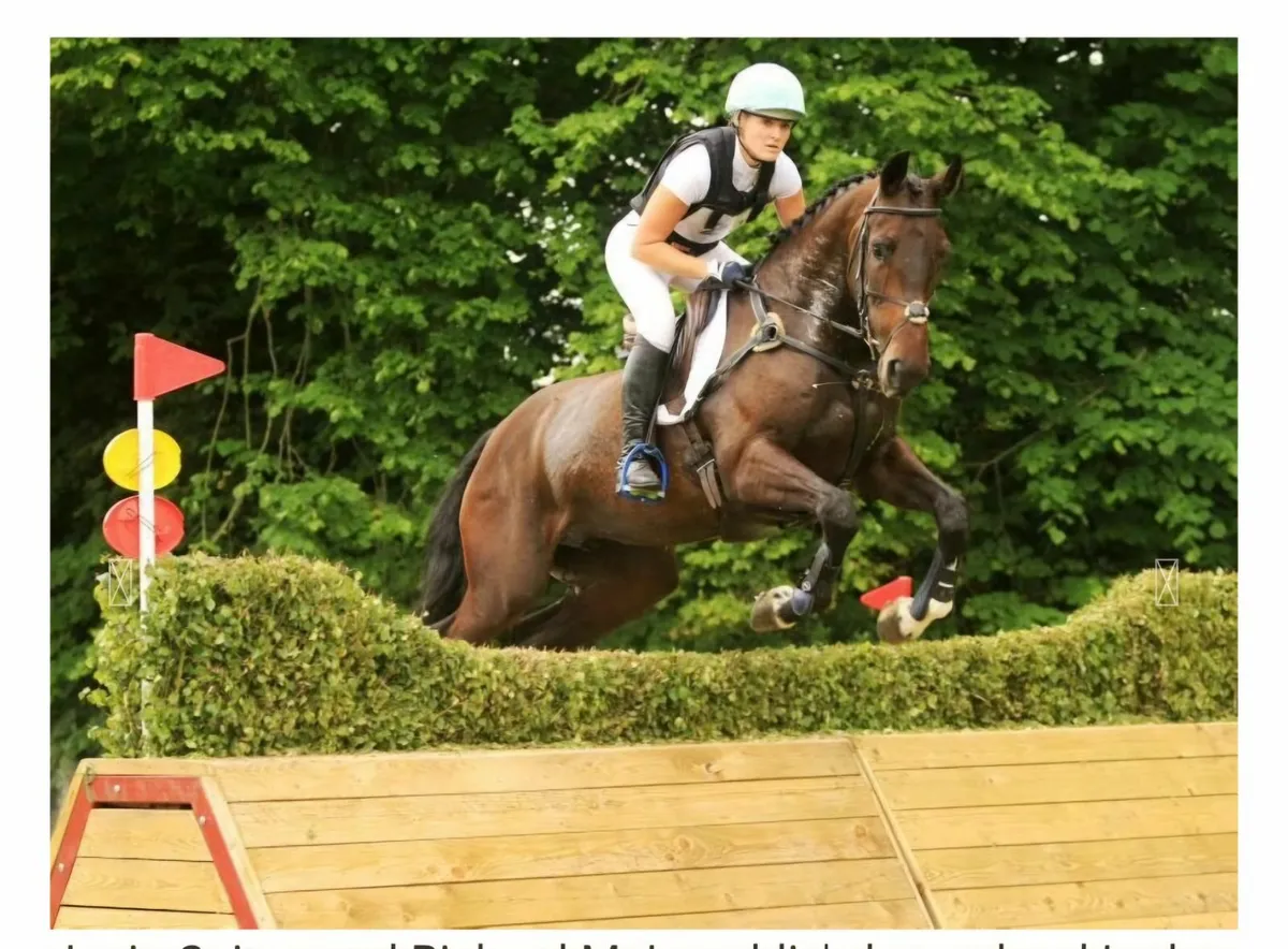 Future Go For Gold Prospect - Image 4