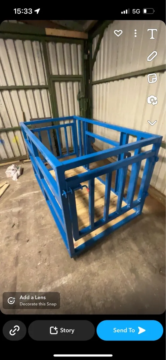 Heavy duty calf crate / Saftey cage - Image 3