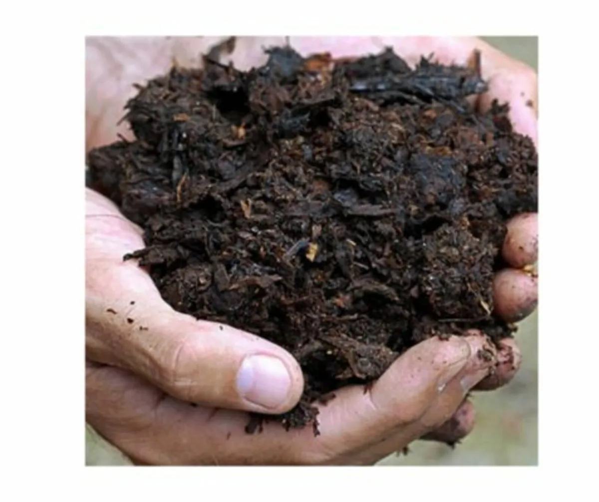 Premium Horse Manure