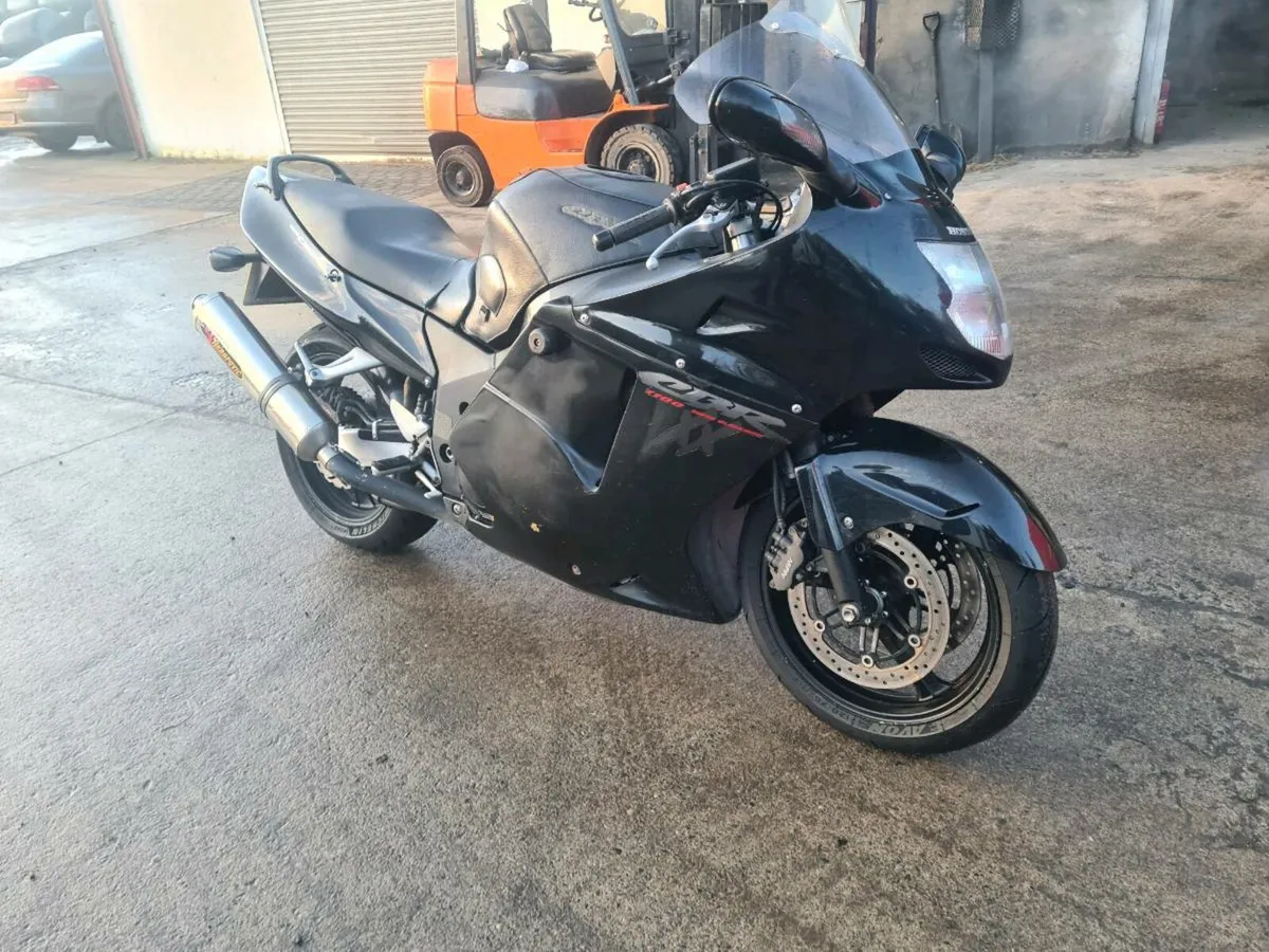 Honda cbr blackbird 1100 - Image 1