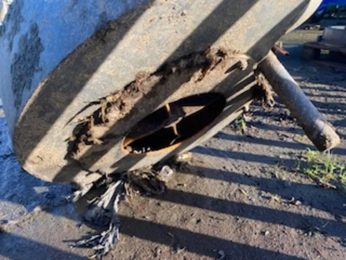 Abbey Agiator - Image 4