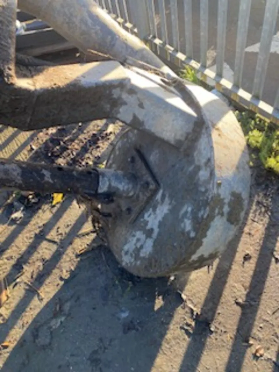 Abbey Agiator - Image 3