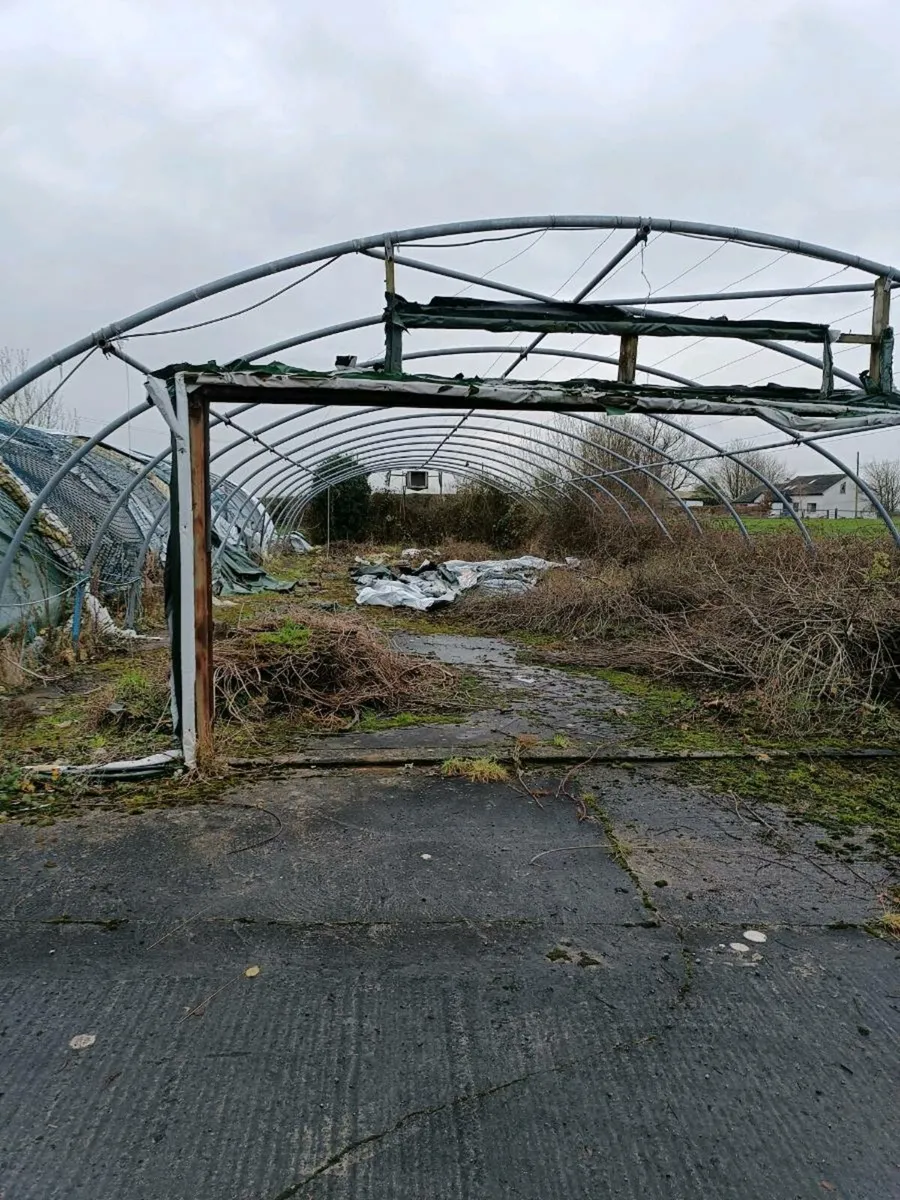 Mushroom sheds - Image 3