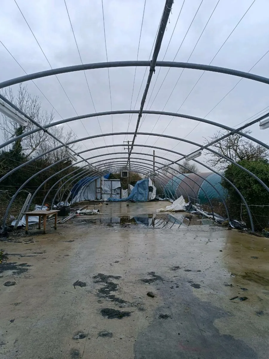 Mushroom sheds - Image 4