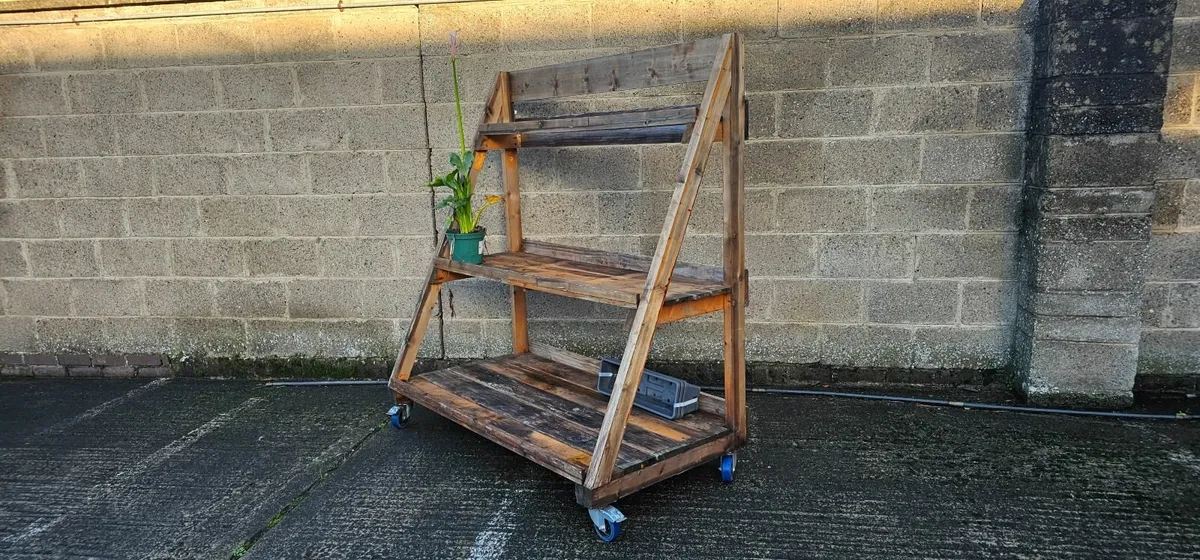 2 Timber Plant Display Trollies