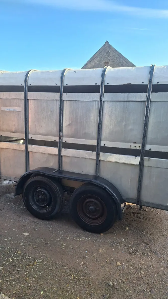 Ifor Williams 12'  x 5'10" Cattle Box Trailer - Image 4