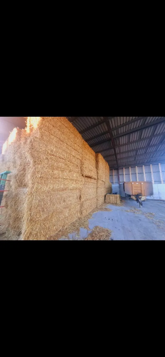 Shed stored straw - Image 3