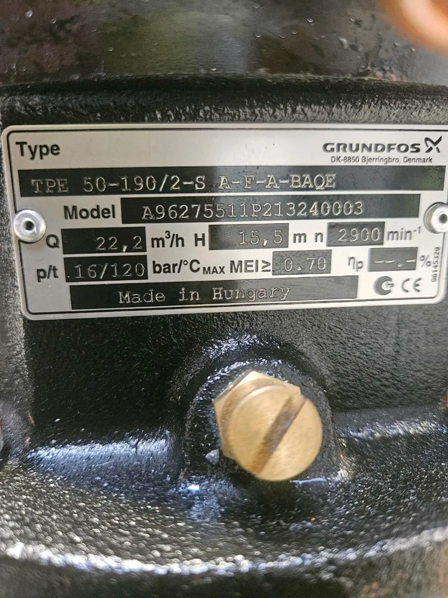 Grundfos tpe pumps & boiler - Image 2