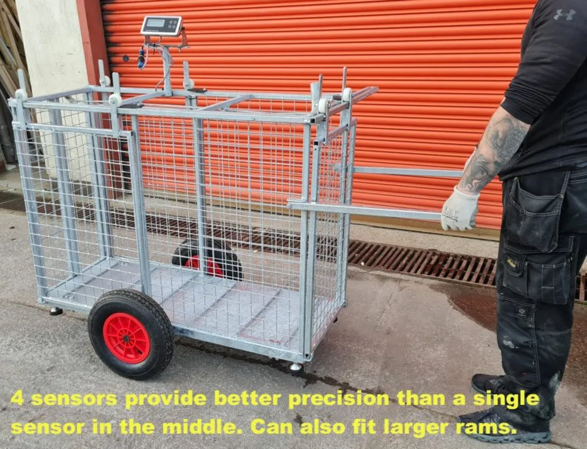 Portable Sheep Handling Setup with Weighing - Image 3