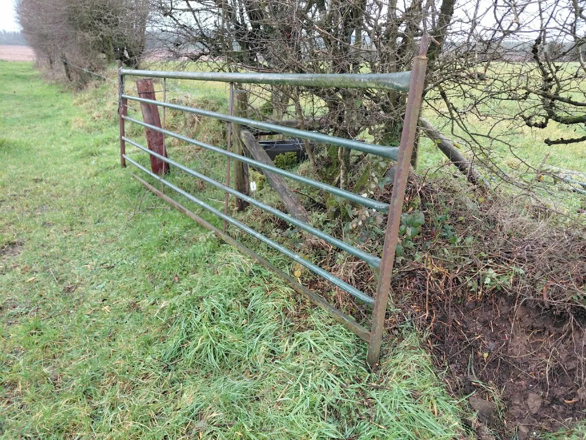 5 Field Gates For Sale - Heavy Duty - Image 3