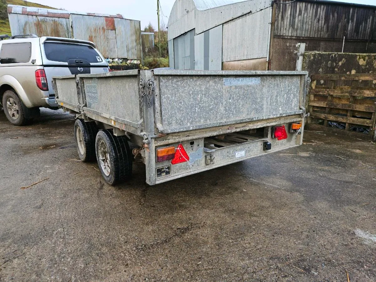 Ifor williams - Image 2