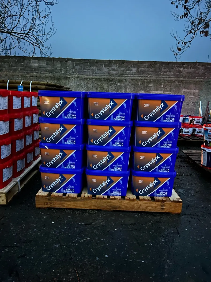 Crystalyx buckets - Image 2