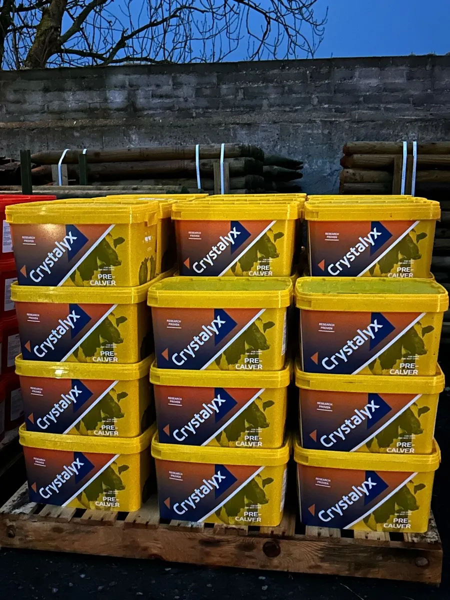 Crystalyx buckets - Image 3