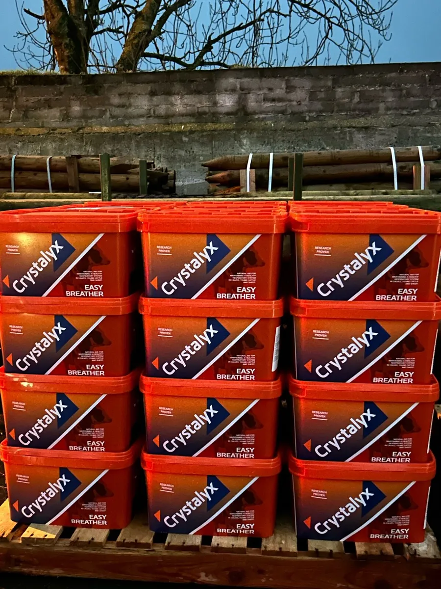 Crystalyx buckets - Image 4