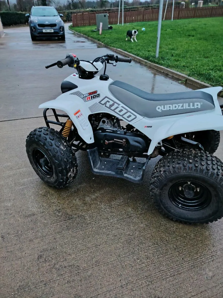 Quadzillia 100cc - Image 4