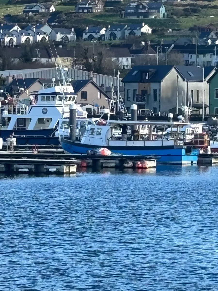 32ft fiberglass net/pots - Image 4