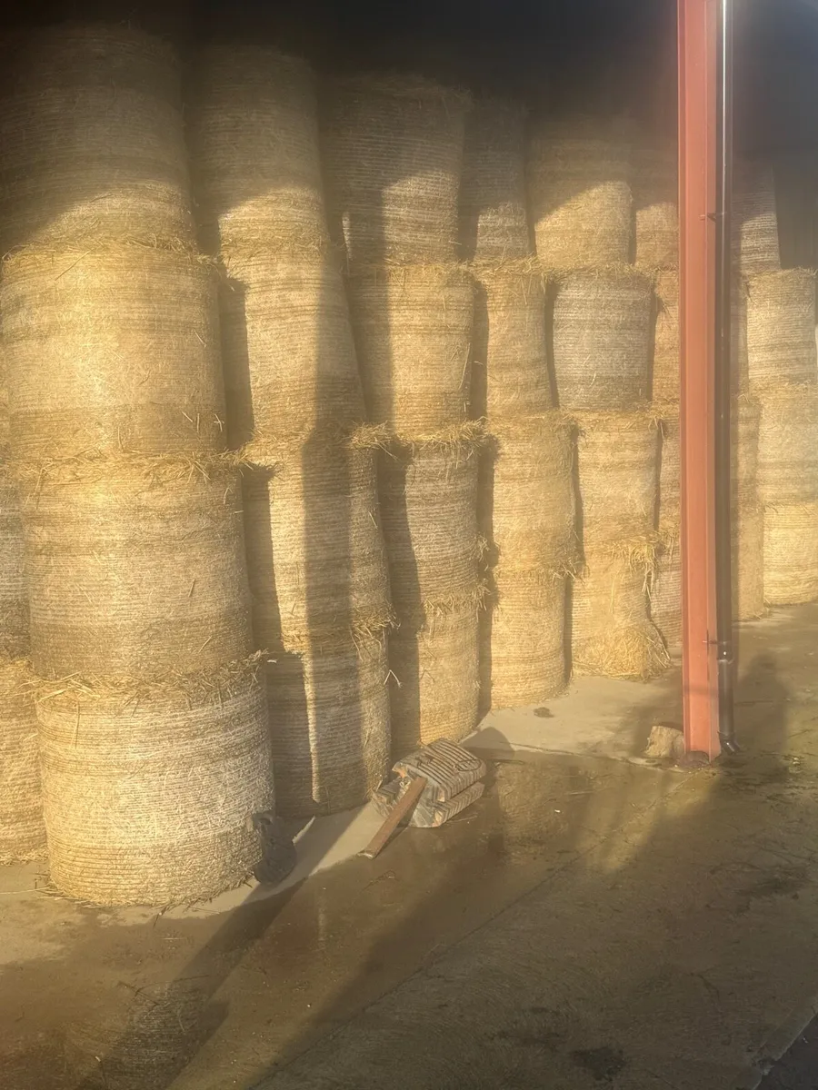 Straw for sale - Image 1