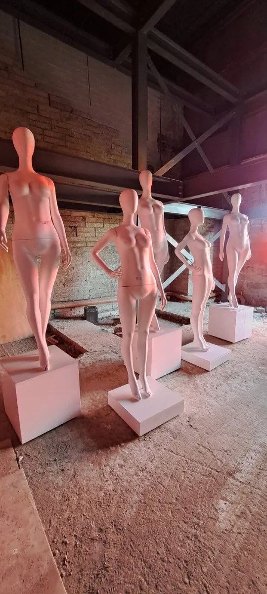 Mannequin  Clothes Model - Image 1