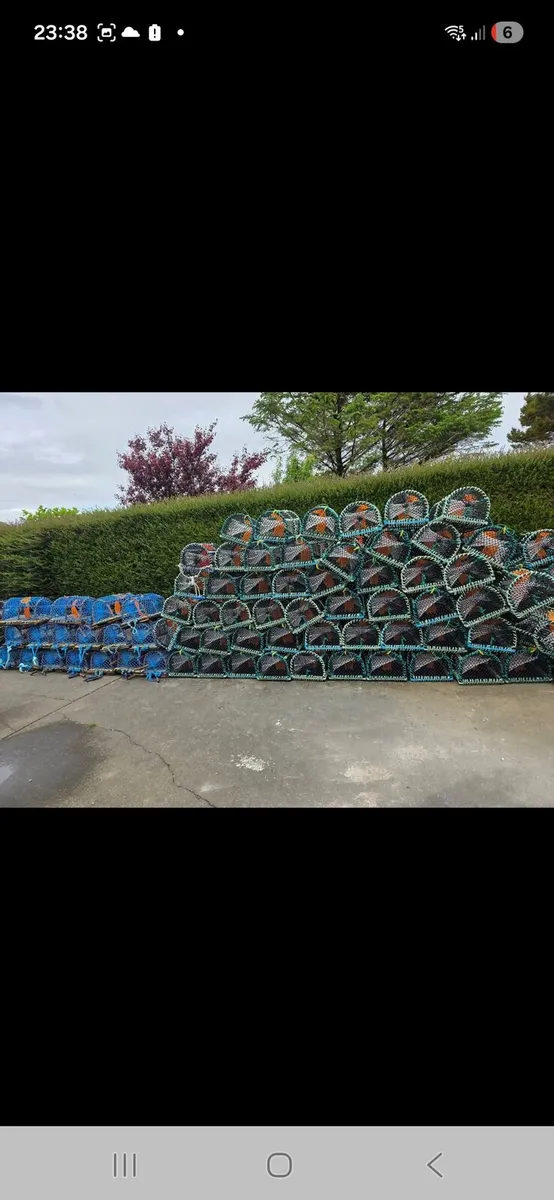 Velvet/ greencrab pots - Image 1